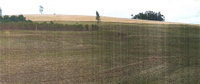 Fazenda Rural com 22,6 ha para Plantio em Faxinal/PR