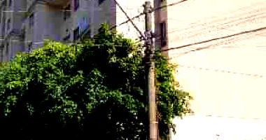 Apartamento com 3 Quartos e 1 Vaga em Brasília