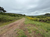 Terreno Rural 140.388m² em Urubici-SC com Reserva Legal