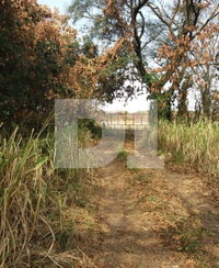 Terreno rural com 36.300 m² em Pirassununga