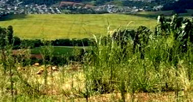 Terreno Urbano em Loteamento Santana - 300m²