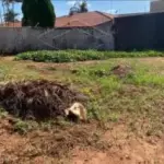 Lote 10 com 300m² no Bairro Nossa Senhora do Rosário de Fátima