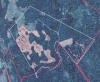 Fazenda 54,23 ha com Erva-Mate em Produção e Mata Nativa