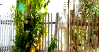 Casa em leilão com 126m² construída e 190m² de terreno