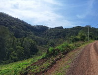 Terreno rural de 161.951m² com potencial para investimento