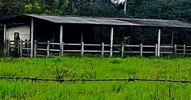 Área Rural - Sítio Matinha