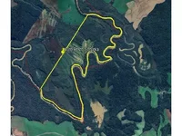 Área Rural de 103,24ha ocupada em Poço Preto