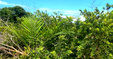 Terreno em Loteamento Planejado