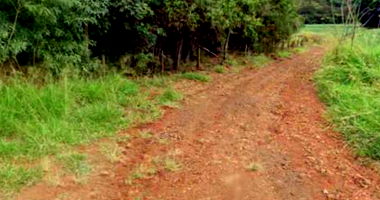 Sítio Triângulo Rural com 3 Matrículas em Apucarana