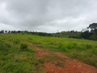 Lote Rural com Área de 115,68 Hectares em Ji-Paraná/RO