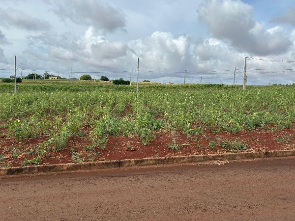 Terreno em Assis Chateaubriand - Oportunidade Única