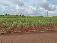 Terreno com 245m² em Assis Chateaubriand - Pronto para investimento