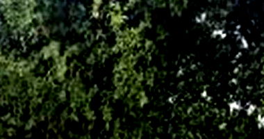 Terreno em Lajeado/RS com 373,21m²