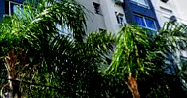 Apartamento padrão 2 quartos, 1 banheiro, 1 vaga, 60.51m² construídos, ocupado