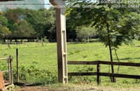 Imóvel Rural com Área de 2,42 ha em Pato Bragado-PR