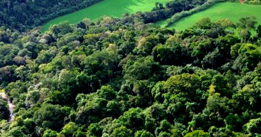 Imóvel Rural de 80.000m² em Cunhataí/SC