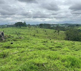 Imóvel Rural com 16 hectares em Formiga/MG