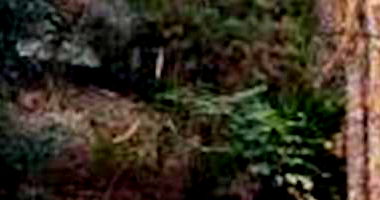 Lote Padrão Ocupado em Duque de Caxias