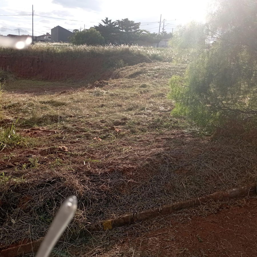 Terreno Urbano de 250 m² em Residencial Elisa - Terra Roxa/PR