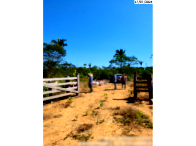 Fazenda com 243,25 hectares em Candeias do Jamari/RO