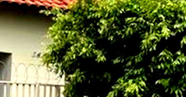 Casa Ocupada com 3 Quartos em Votuporanga/SP