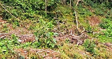 Terreno com 427,95m² em Nova Petrópolis