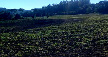 Terreno Rural com 246.174 m² em Mafra/SC