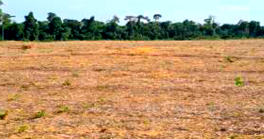 Terreno em Rondon do Pará - PA