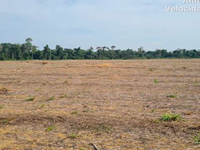 Terreno em Rondon do Pará - PA