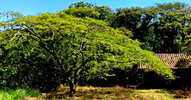 Terreno de 864,85m² com casa de moradia sem valor comercial
