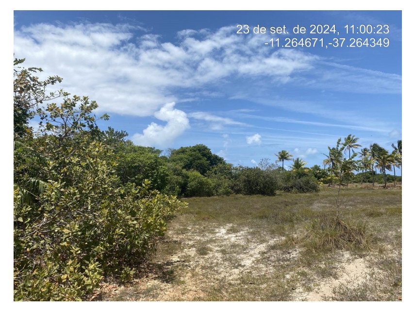 Terreno de 300m² em Loteamento à Venda em Leilão