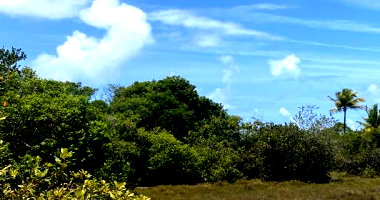 Terreno de 300m² em Loteamento à Venda em Leilão