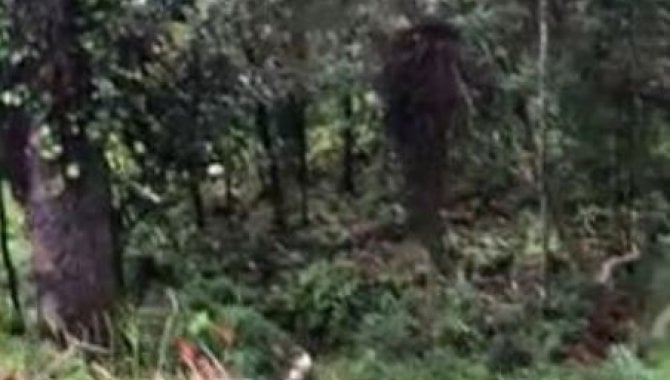 Ampla Área de 3.750 m² em Jardim das Pérolas