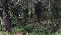 Ampla Área de 3.750 m² em Jardim das Pérolas