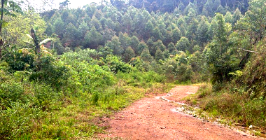 Terreno rural com 146.250m², ocupado, ideal para investimento ambiental