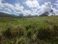 Lote de 1000 m² em Parque das Margaridas