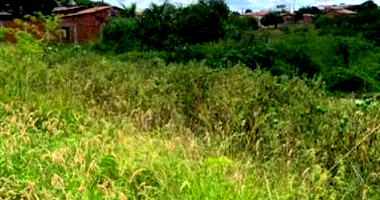 Terreno com 2.572,50m² em Pintadas/BA