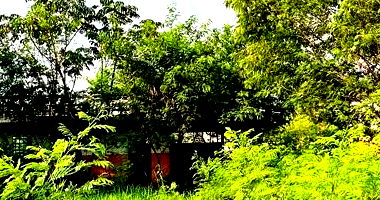 Galpão Industrial 1.311m² em Umuarama/PR