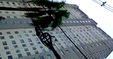 Apartamento com 2 quartos em São Paulo