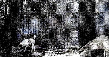 Casa com terreno de 645m² em Mairiporã - Oportunidade!