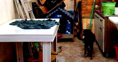 Casa Ocupada com 221m² de Área Construída em Pelotas/RS