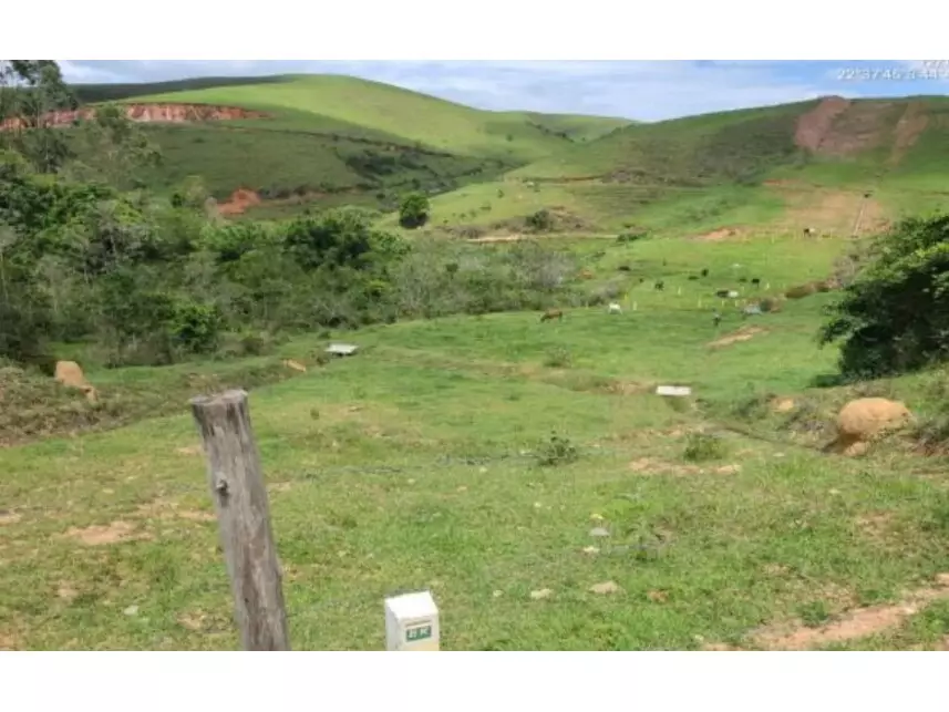 Fazenda São João com 249,35 hectares em Areias/SP