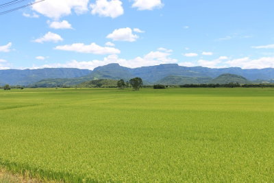 Imóvel rural com casa, galpão e 46,03 ha