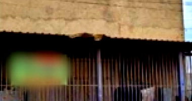 Direitos Possessórios em Ceilândia - Galpão e Quitinetes