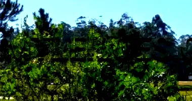 Área Superficial 511,50 m² em Berto Círio