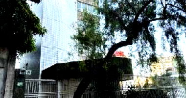 Apartamento de luxo com 4 quartos, 280m² e 4 vagas