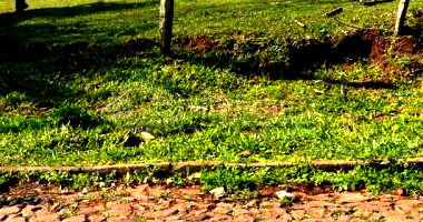 Cinco terrenos em Loteamento do Bairro Dona Emilia - CRUZ ALTA/RS