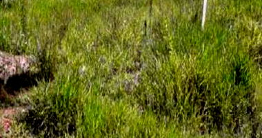 Granja em Mogi das Cruzes com 60.092,75 m²