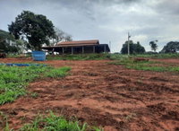 Fazenda Córrego do Manda Saia - 121,72 hectares em Ituiutaba/MG