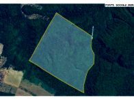 Fazenda com 401,74 hectares em Espigão D'Oeste/RO